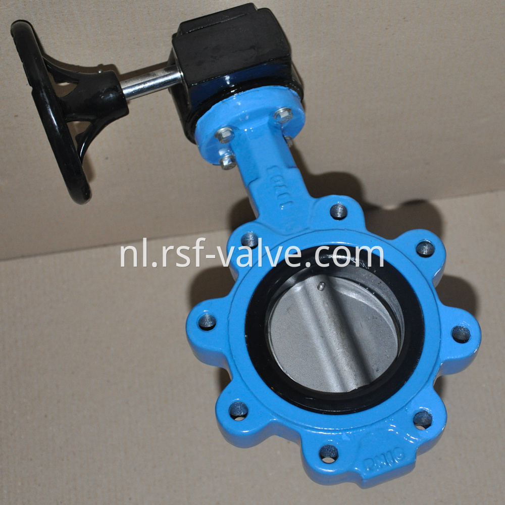 Concentric Lug Type Butterfly Valve 1